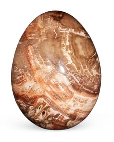 A petrified wood ovoid specimen