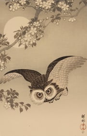 Ohara Shoson (1877-1945), "Scops Owl Flying under Cherry Blossoms with Full Moon"