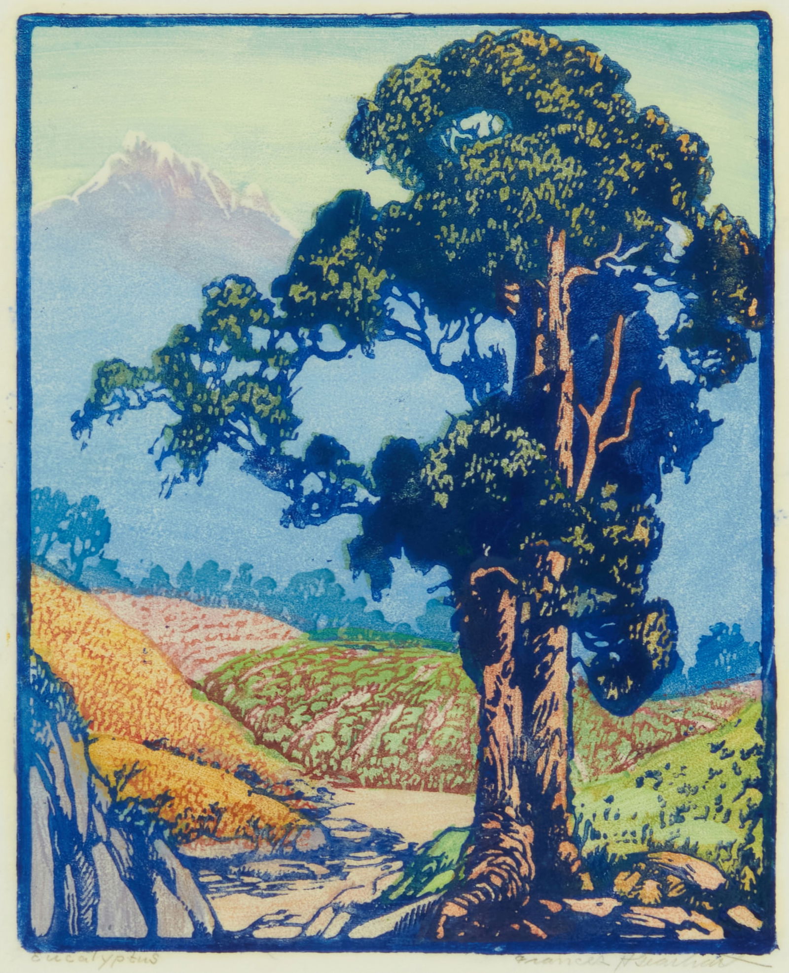 Frances Hammell Gearhart (1869-1958), ''Eucalyptus,'' circa 1920