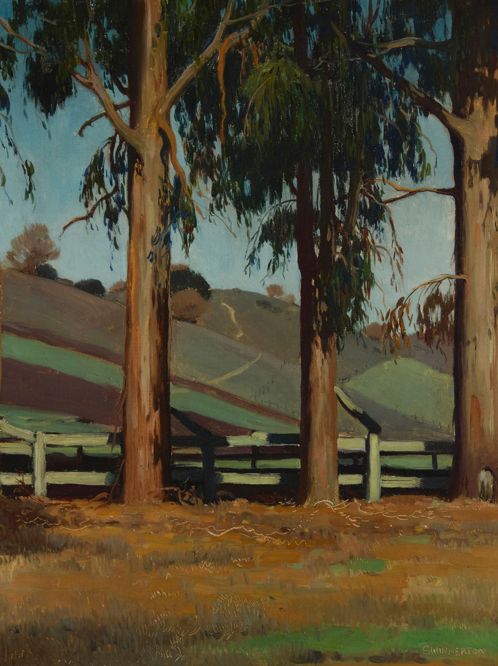 James Swinnerton (1875-1974), "Eucalyptus Trees, Near Palo Alto": James Swinnerton(1875-1974)"Eucalyptus Trees, Near Palo Alto"Oil on canvasboardWith the incised signature lower right: Swinnerton; signed again and titled in pencil on a paper remnant affixe