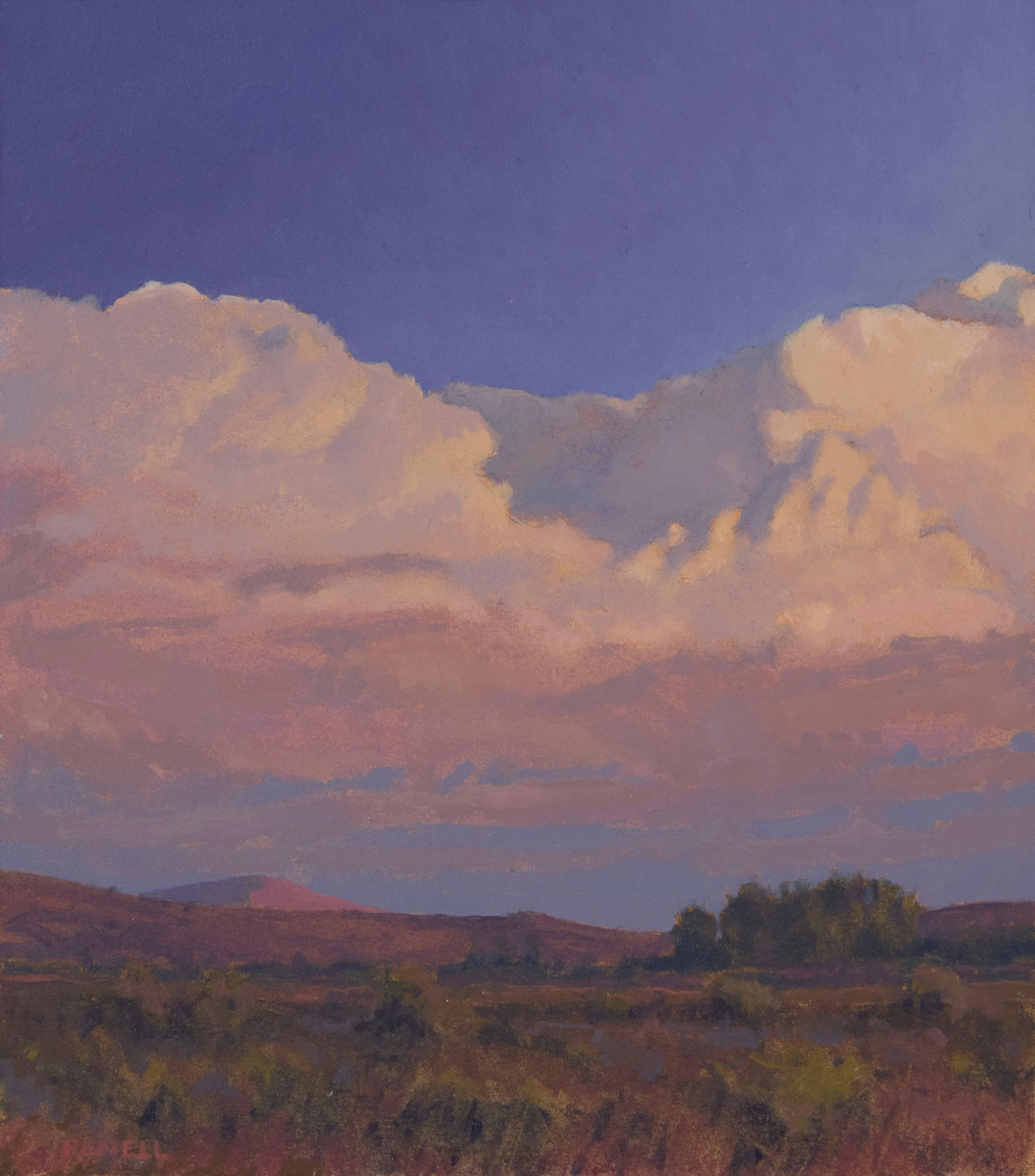 Glenn Renell (b. 1947), "Waiting Rain" (Arizona), 2013 (1 of 6)