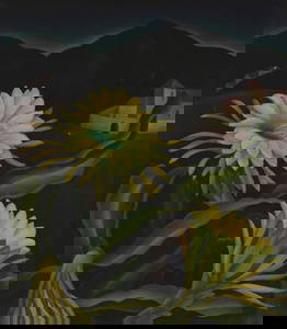 Edith Hamlin (1902-1992), "Night Blooming Cereus" (Taos), 1932