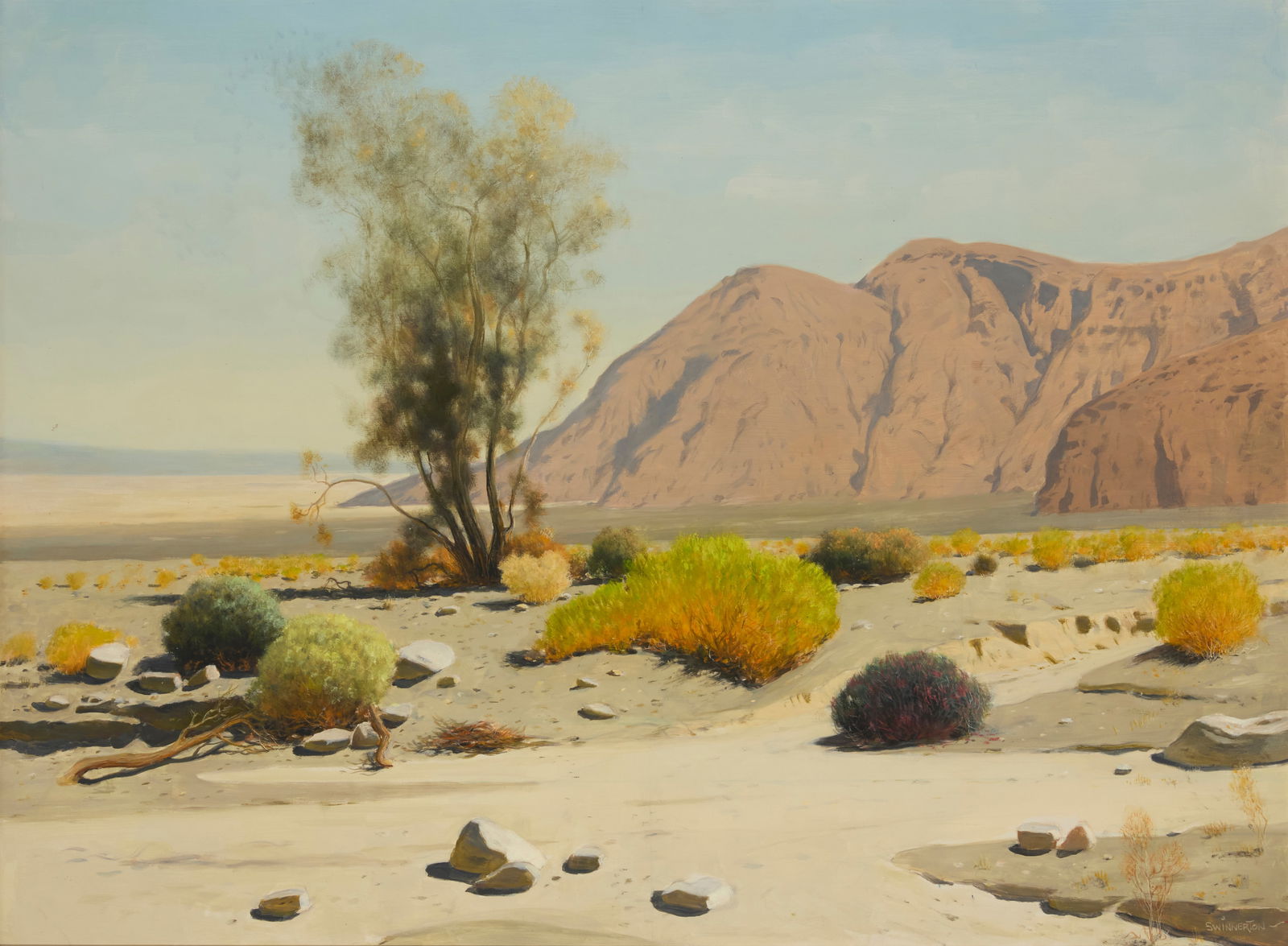 James Swinnerton (1875-1974), Smoke tree in a desert landscape: James Swinnerton(1875-1974)Smoke tree in a desert landscapeOil on canvasSigned lower right: Swinnerton30" H x 40" W Provenance:Private collection, acquired from a corporate collection<