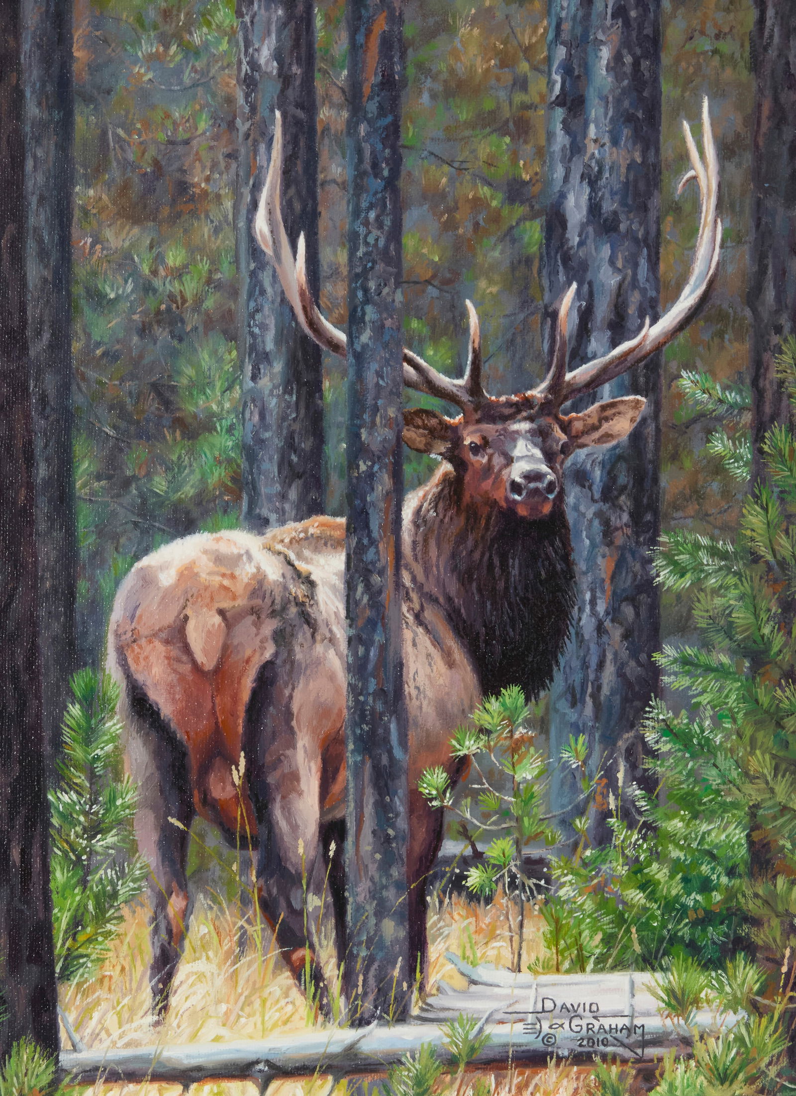 David Graham (20th/21st century), "Close Quarters": David Graham(20th/21st century)"Close Quarters"Oil on canvasSigned and with the artist's device, and dated, lower right: David Graham / © 2010; signed and dated again, and titled, all in in