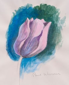 Paul Wonner (1920-2008), "Study of a Tulip"