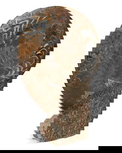 An ammonite fossil specimen: An ammonite fossil specimen20th/21st centuryThe cephalopod fossil, polished in relief within a chisel-prepared matrix17.75&quot; H x 12.75&quot; W x 5.5&quot; D