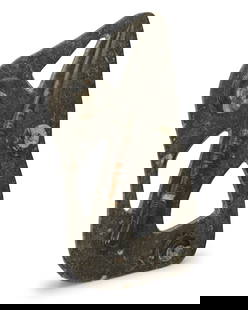 An orthoceras and ammonite fossil specimen: An orthoceras and ammonite fossil specimen20th/21st centuryComprising one orthoceras and three ammonite cephalopod fossils, each polished in relief within a polished matrix embedded with smaller fossi