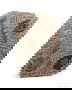 An orthoceras and ammonite fossil specimen: An orthoceras and ammonite fossil specimen20th/21st centuryComprising two orthoceras and three ammonite cephalopod fossils, each polished in relief within a chisel-prepared matrix, displayed on a plas