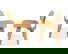 item-209040833=3