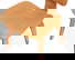 item-209040833=5