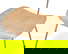 item-209040988=5
