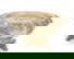 item-210967264=1