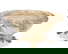 item-210967264=2