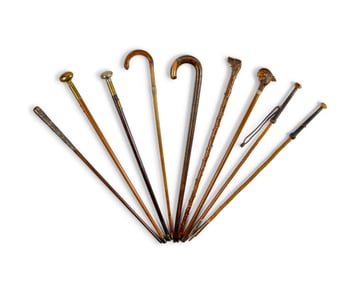 A group of nine wood walking sticks