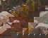 item-210967505=2