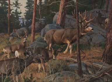 David Charles Wade (1952-2019), "In the Trees"