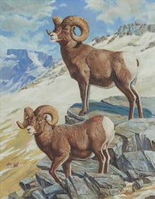 Fred J. Boyce (1923-2023), "Big Horn Sheep," 1975