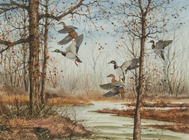 David Hagerbaumer (1921-2014), Mallard ducks landing