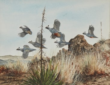 David Hagerbaumer (1921-2014), A covey of quail in flight