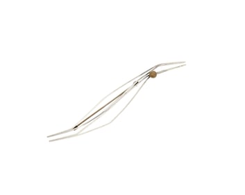 Betty Cooke: A Sterling Silver Bird Brooch