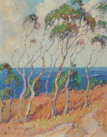 Nona White (1858-1937), "Playmate of the Winds"