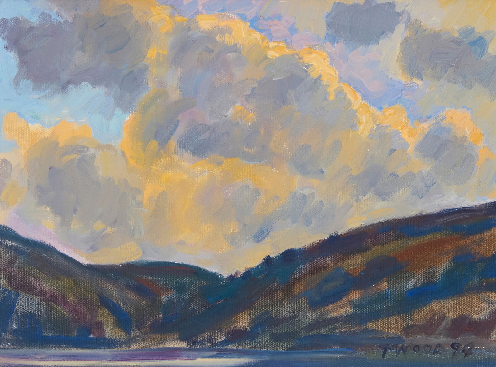 Thomas Wood (b. 1940), Clouds and Lake Nicasio (Marin County), 1994 (1 of 5)