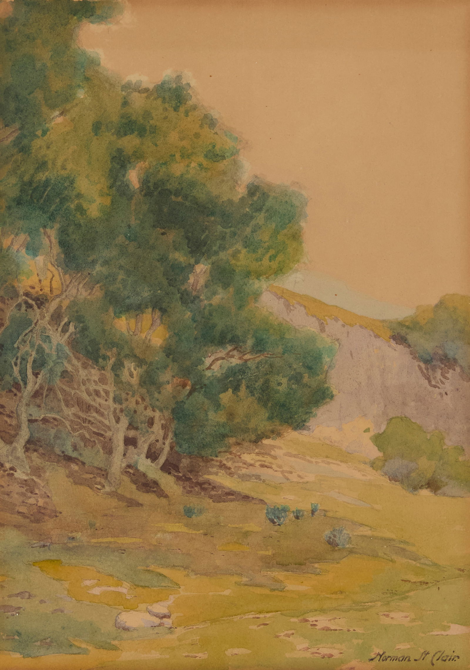 Norman St. Clair (1863-1912), Trees in a landscape (1 of 6)
