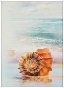 Yankel Ginzburg (b. 1945), Untitled, conch shell in sand