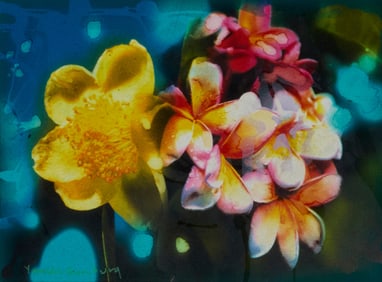 Yankel Ginzburg (b. 1945), Untitled, frangipani flowers