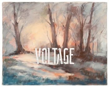 Diane Snyder (20th century), "Voltage," 1991
