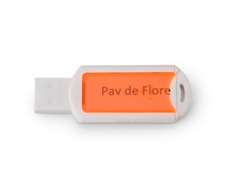Jacco Olivier (b. 1972), "Pave de Flore," 2015