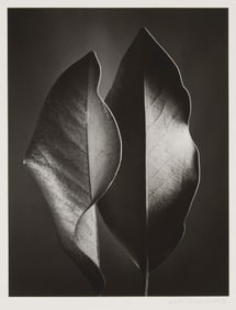 Ruth Bernhard (1905-2006), "Two Leaves," from "The Gift of the Commonplace" portfolio, 1952