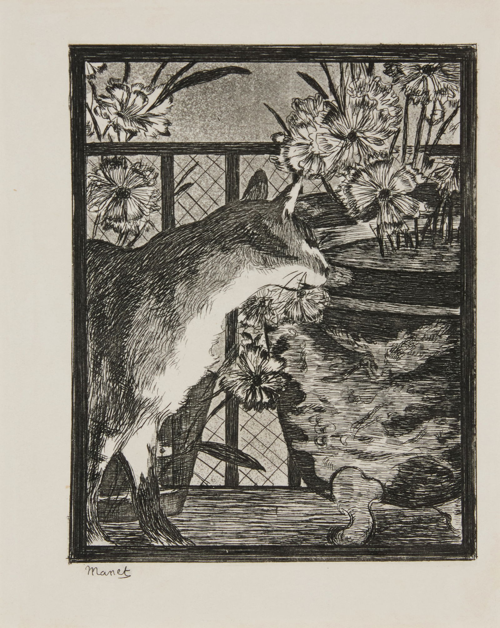 After Edouard Manet (1832-1883), "Cat and Flowers," from the "Les Chats" series, 1869 (1 of 5)