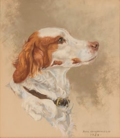 William McPherson (1905-1972), Portrait of a Spaniel