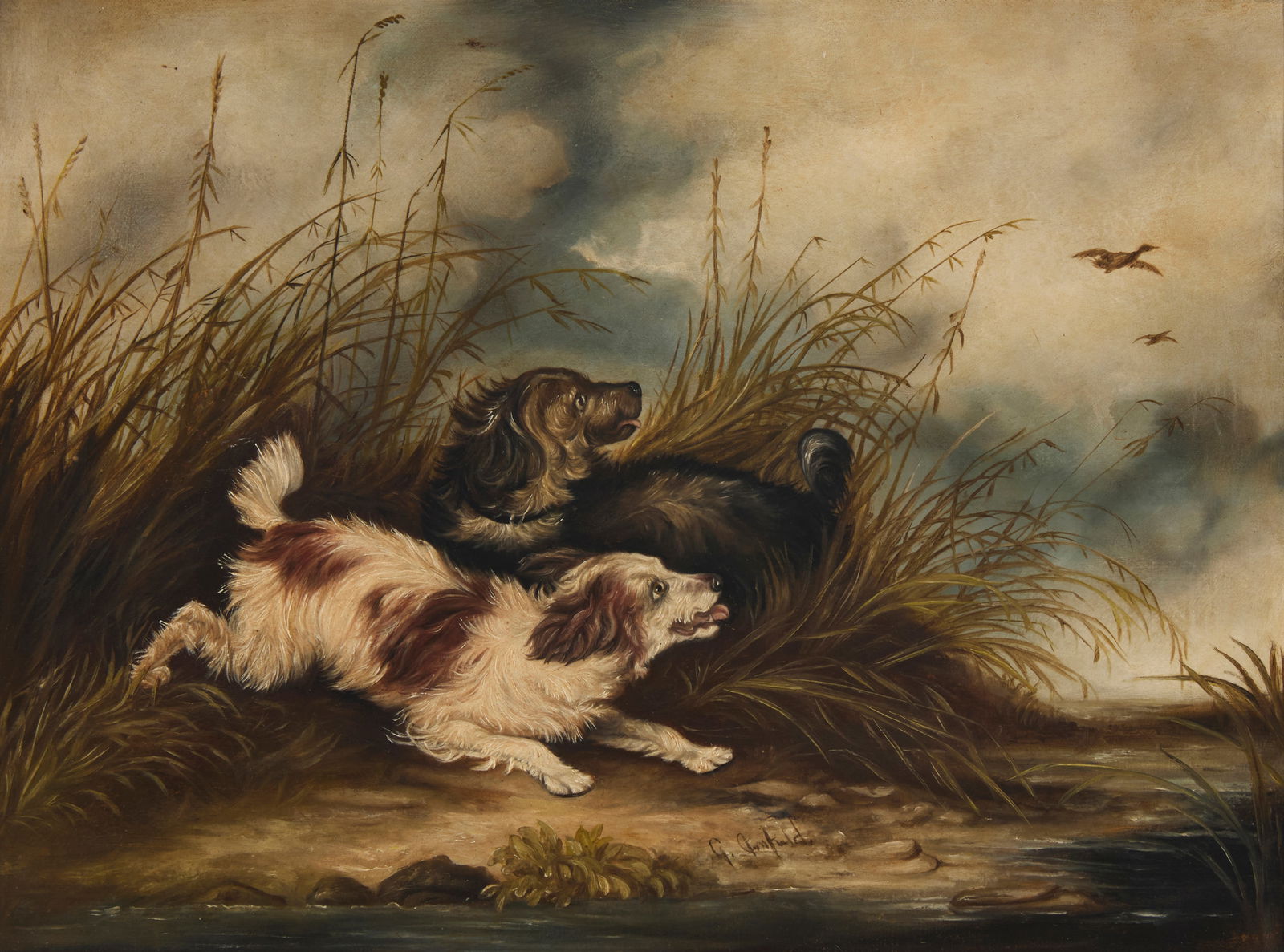 George Armfield (1810-1893), Spaniels hunting a pheasant: George Armfield(1810-1893)Spaniels hunting a pheasantOil on canvasSigned lower center: G. Armfield12.25" H x 16" W