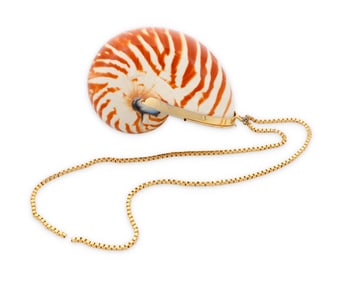 Judith Leiber: A Vintage Striped Nautilus Shell Minaudiere