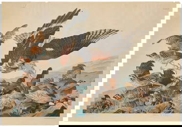 John James Audubon (1785-1851), "Virginian Partridge," Plate 76 from "The Birds of America, from