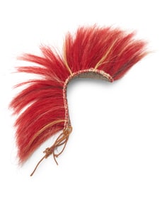 A Northern Plains roach headdress