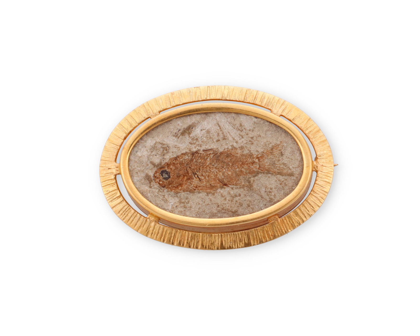 An 18K Gold and Fossil Brooch: An 18K Gold and Fossil BroochCentering an ancient fish fossil in matrix, set in a textured brushed 18k gold frameMeasures: 1 3/4 x 1 1/4 in.21.4 gramsProperty of a Southern California Lady