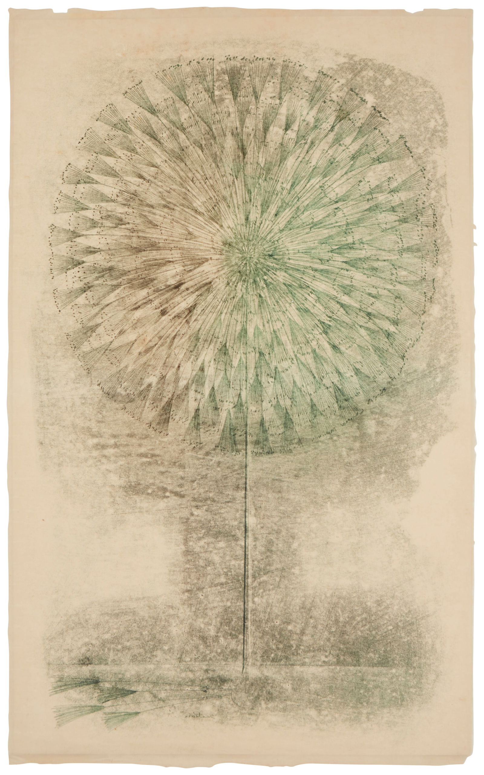 Harry Bertoia (1915-1978), Untitled (dandelion), circa early 1960s (1 of 5)