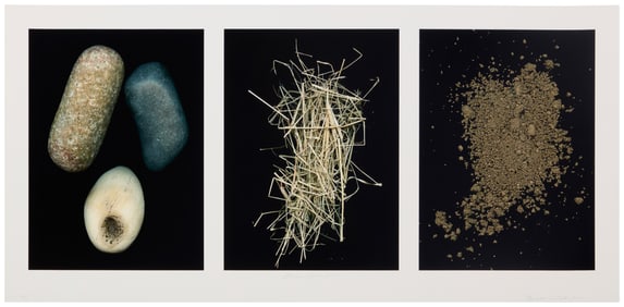 Barbara T. Smith (b. 1948), "Rocks, Weeds, Dirt," 2020