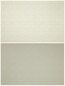 Guy Williams (1932-2004), "Ida Cox Guy Williams" and "Blind Blake Guy Williams" (a group of two),