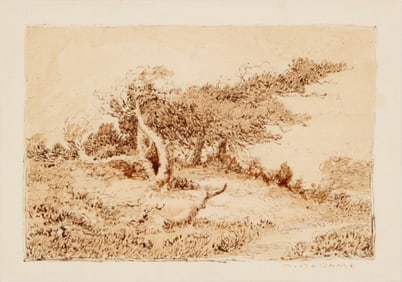 Albert Thomas De Rome (1885-1959), Windswept tree