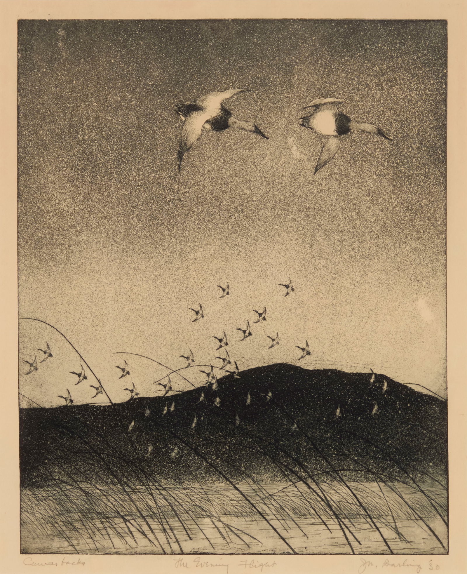 Jay Norwood "Ding" Darling (1876-1962), "Canvasbacks - The Evening Flight," 1930 (1 of 8)