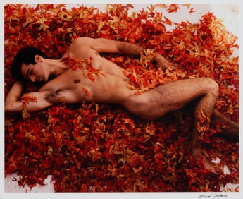 Michael Childers (b. 1944), Reclining male nude among Autumn leaves