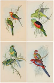 After John Gould (1804-1881), Four plates from "The Birds of Australia," 1848
