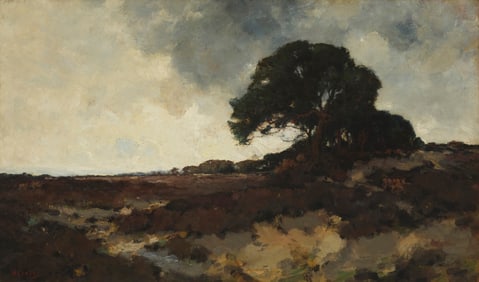 Martinus Jacobus Nefkens (1866-1941), Dutch landscape