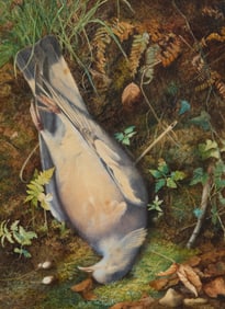 John Sherrin (1819-1896), Wood pigeon in a naturalistic setting