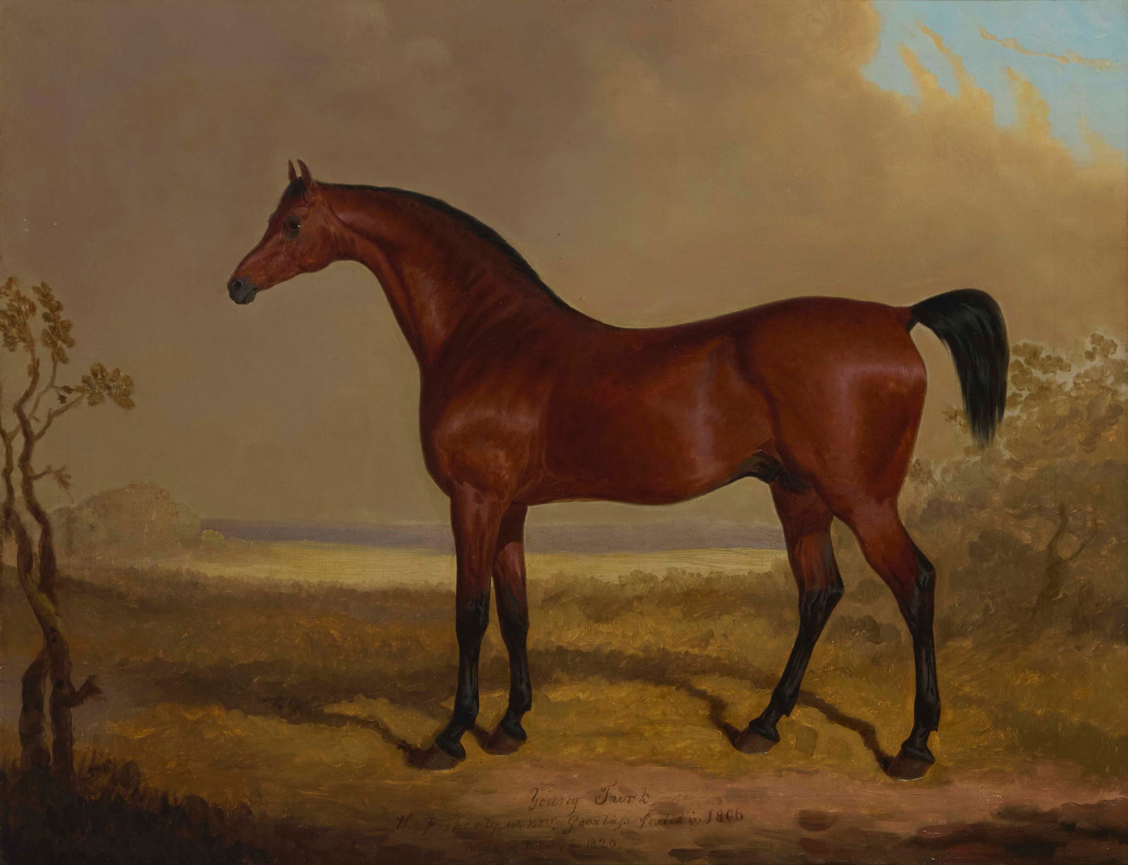 David Dalby (1794-1836), "Young Turk," 1826 (1 of 7)