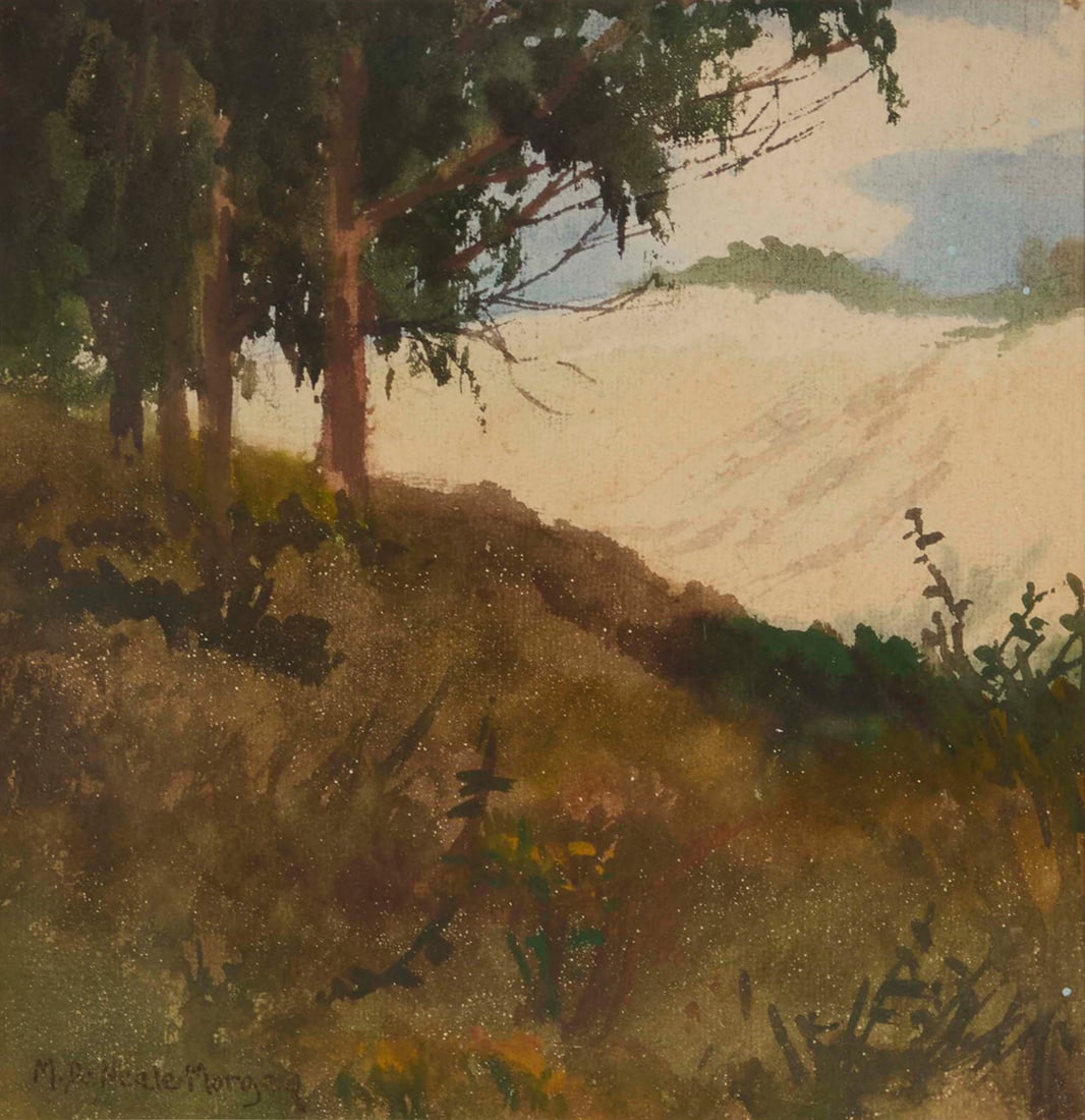 Mary DeNeale Morgan (1868-1948), "Sandy Hillside" (1 of 8)